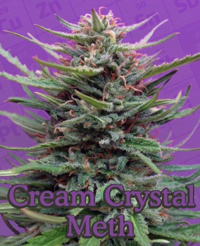 cream crystal foto